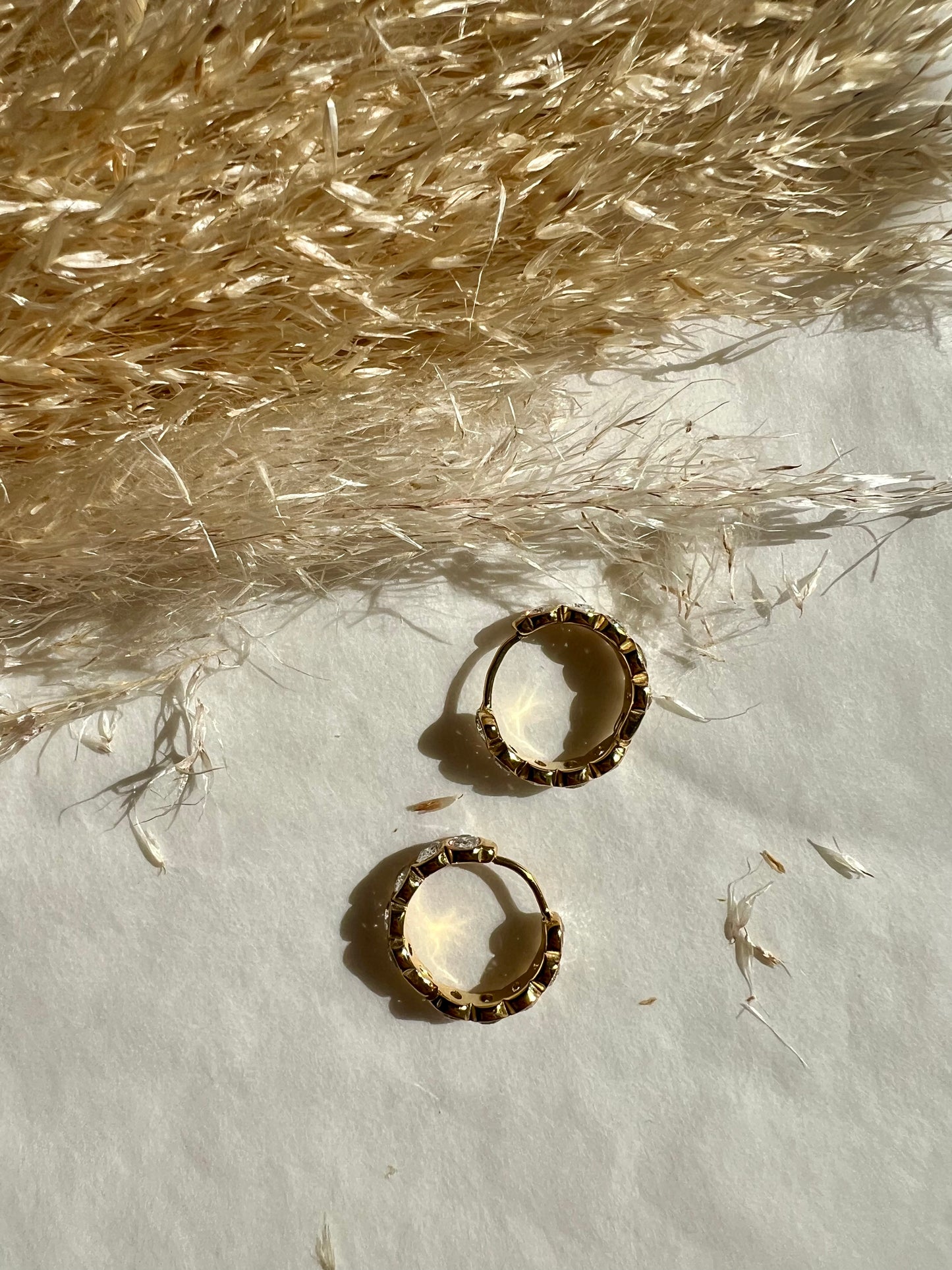 Argollas Zirconia