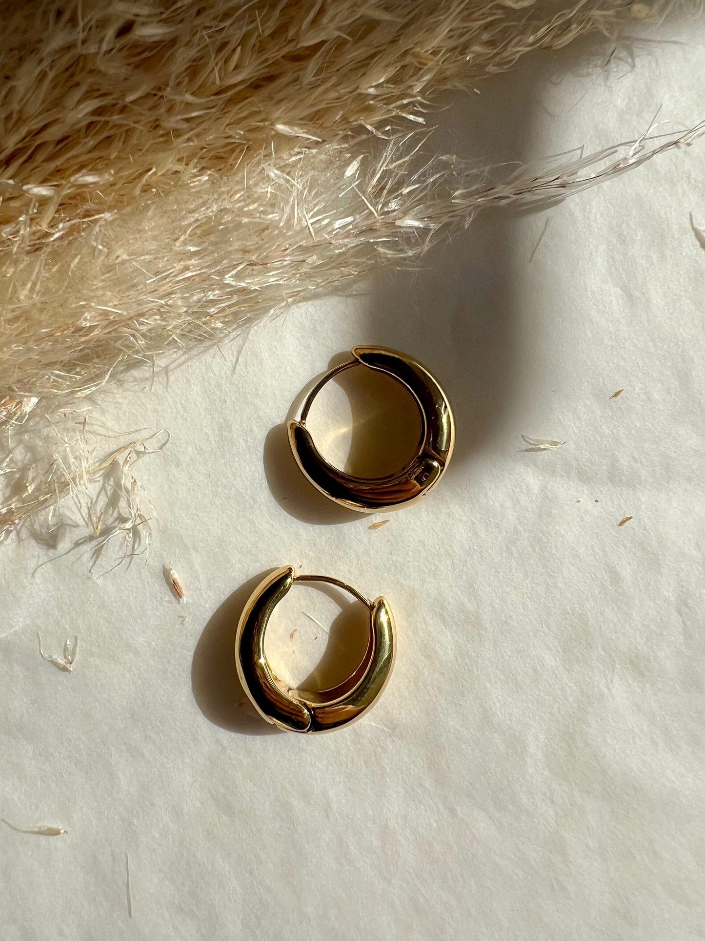 Argollas Leonor