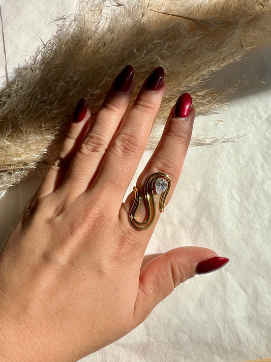 Anillo Maximalista