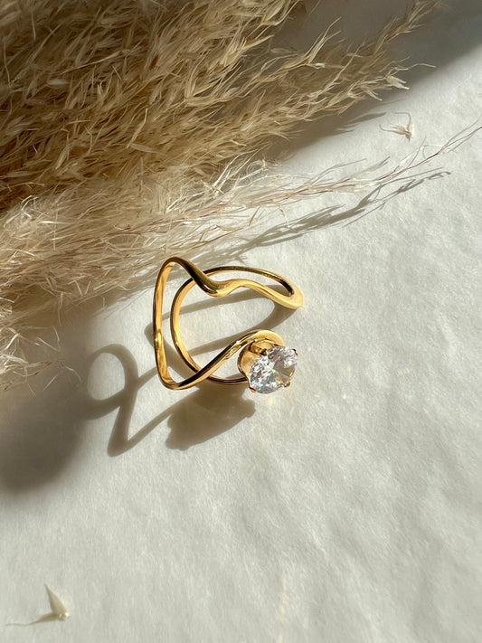 Anillo Maximalista