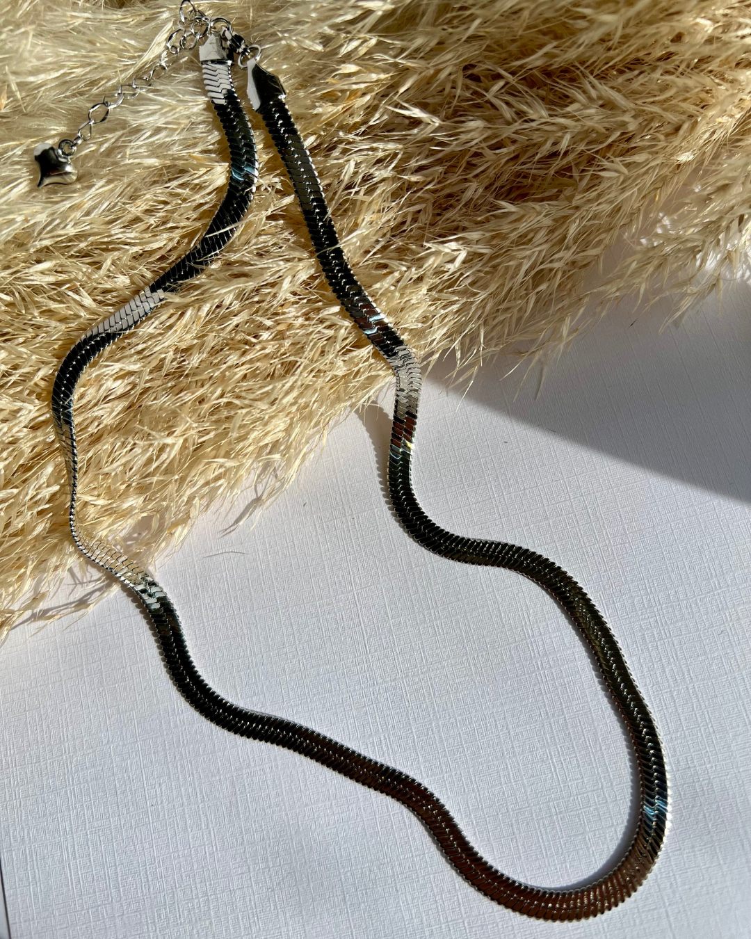 Collar Snake