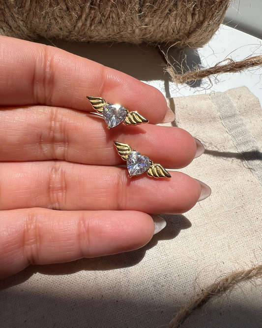Aros Corazón alado