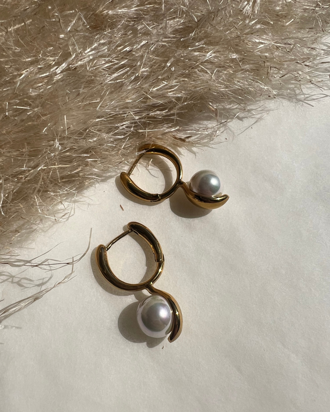 Argollas Dayana