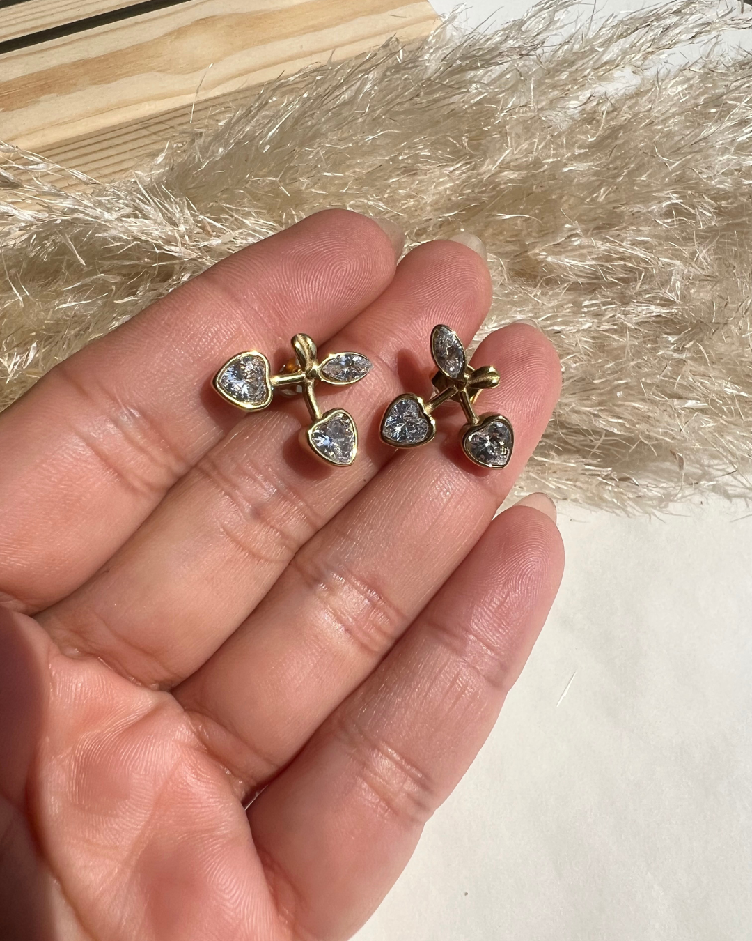 Aros de Cerezas con brillo