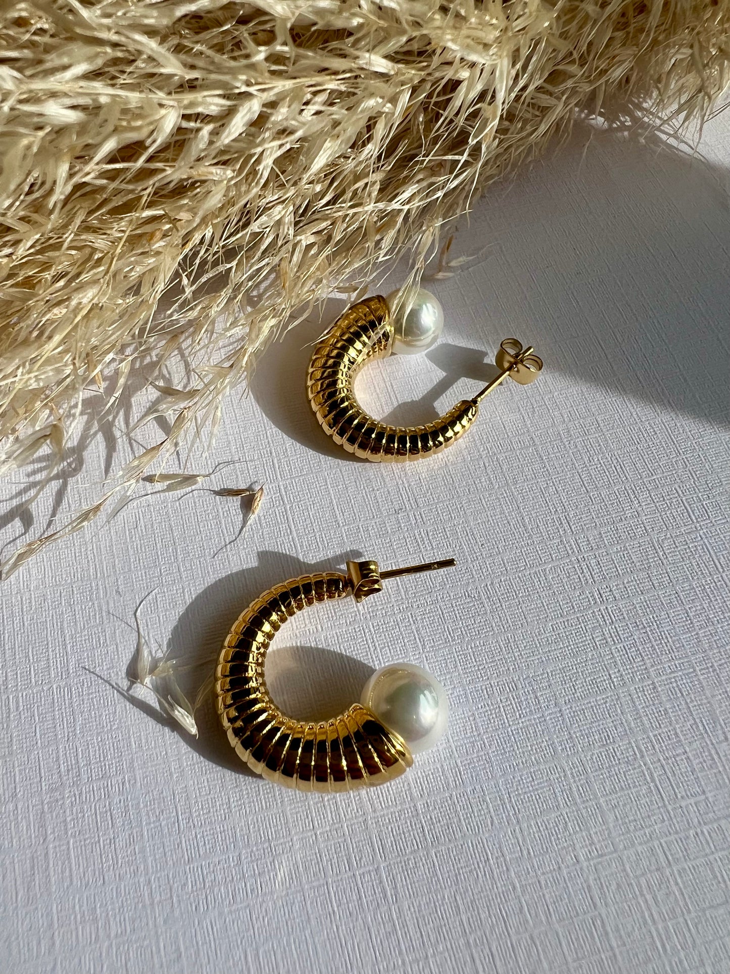 Argollas Elisa
