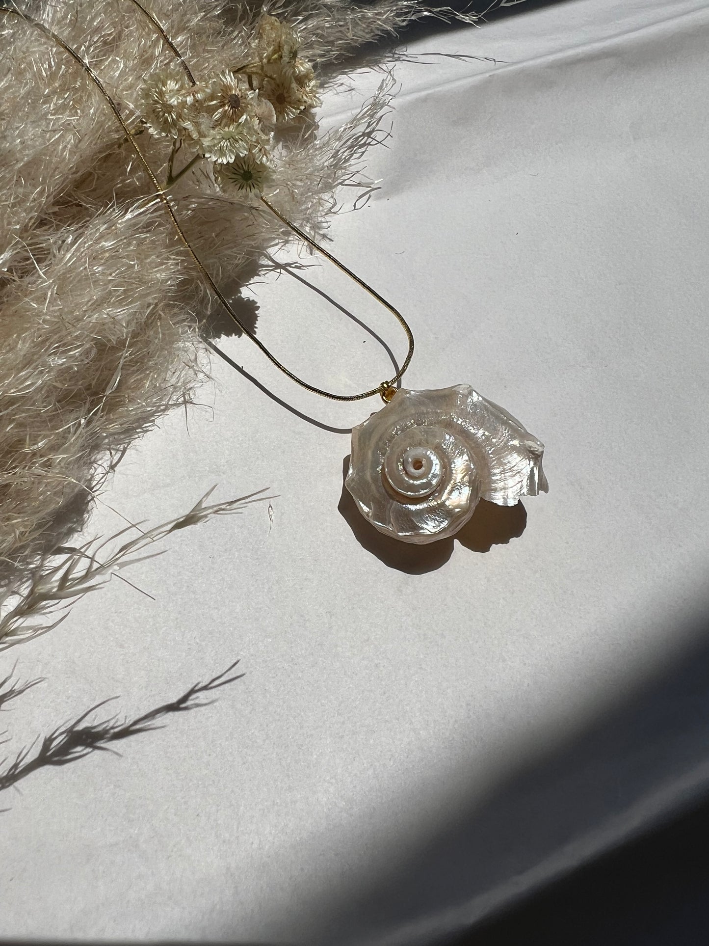 Conjunto Marina