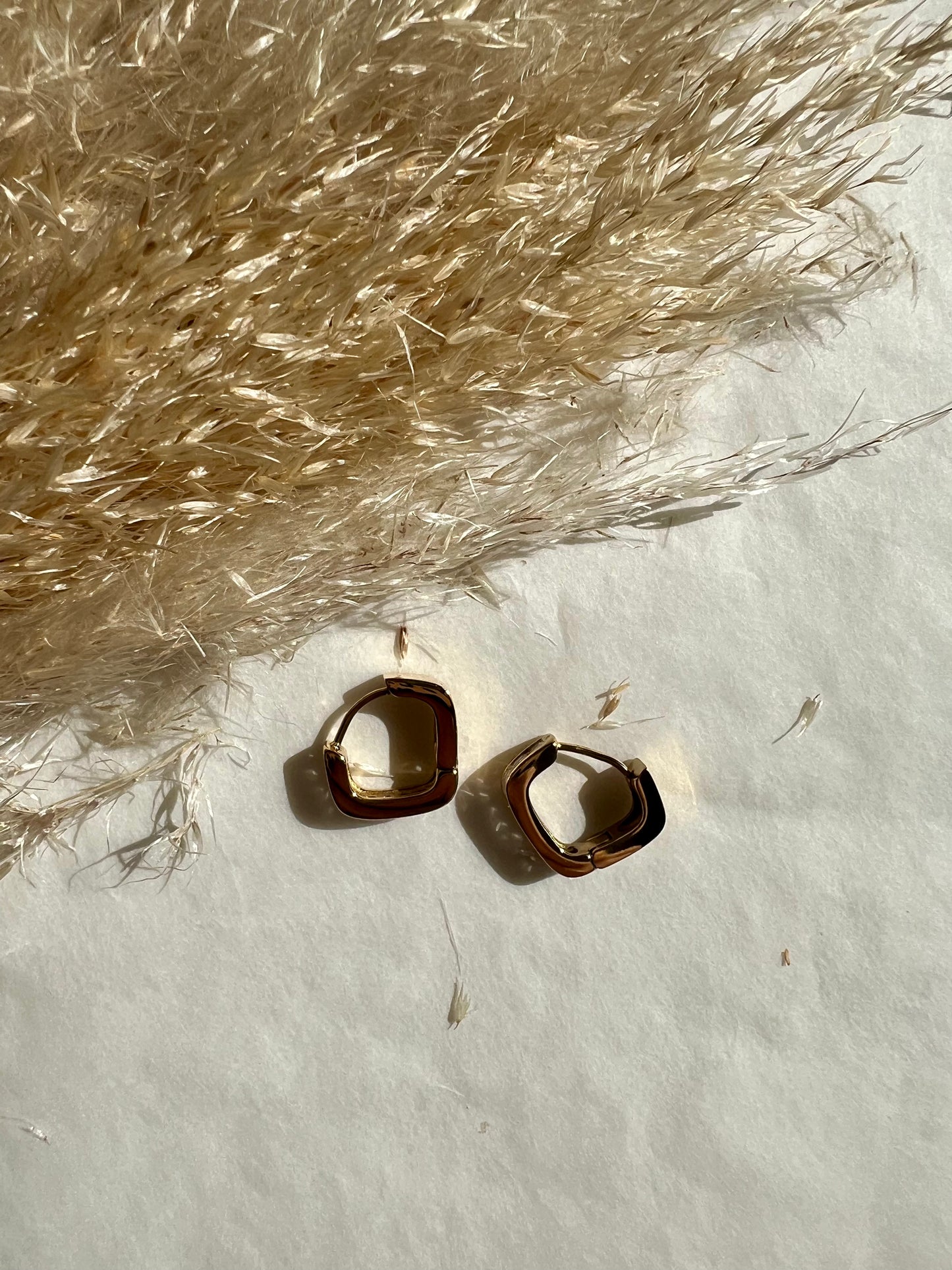 Argollas con Zirconia