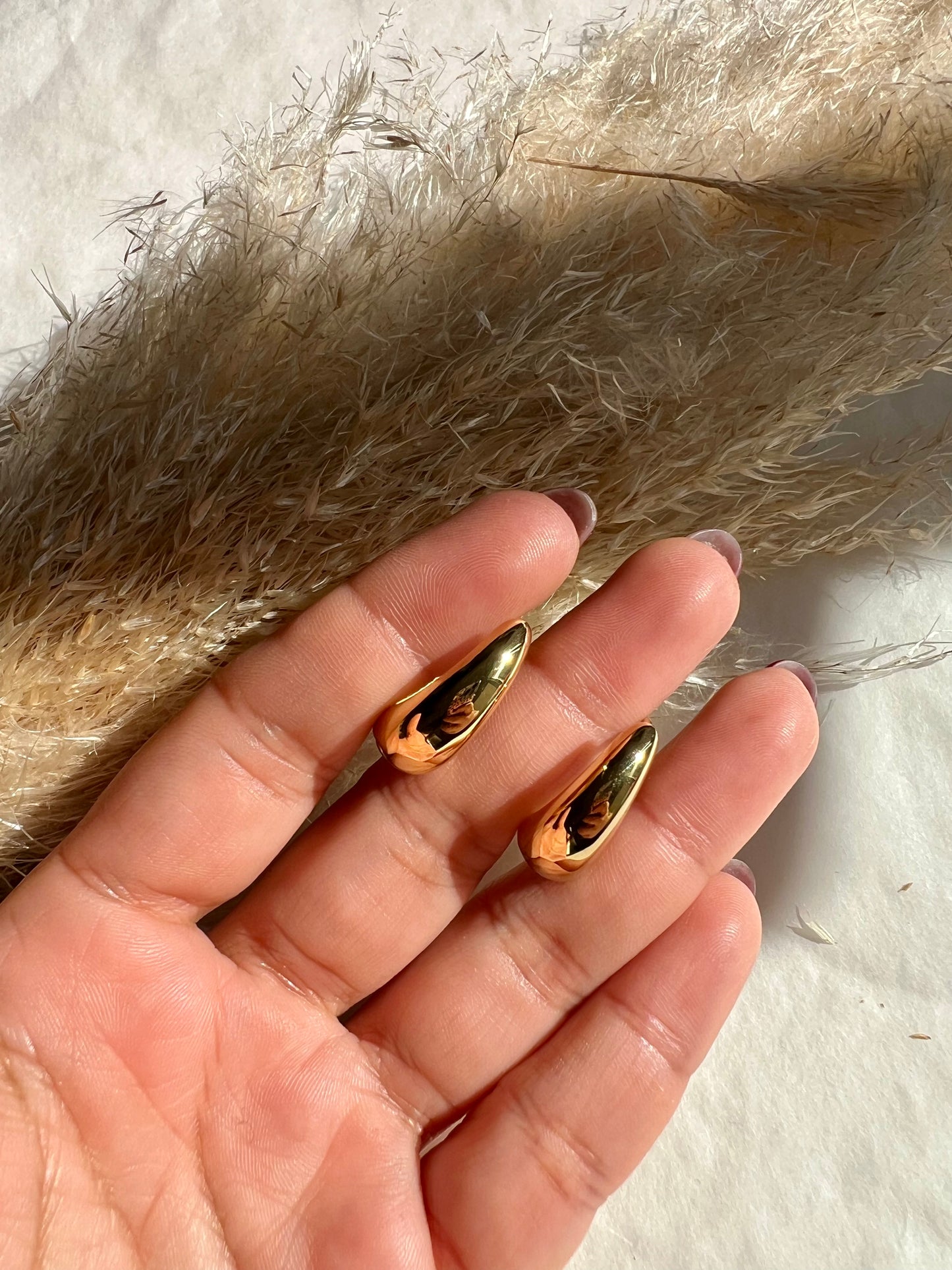Argollas Leonor