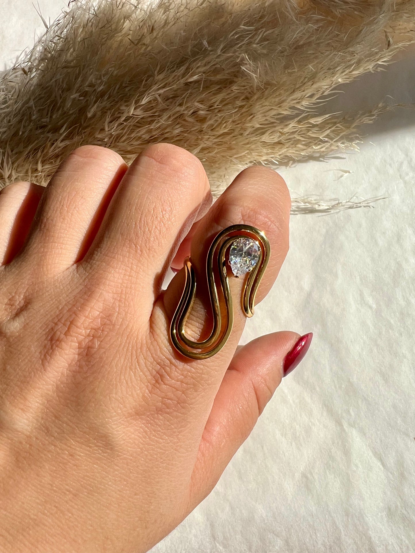 Anillo Maximalista
