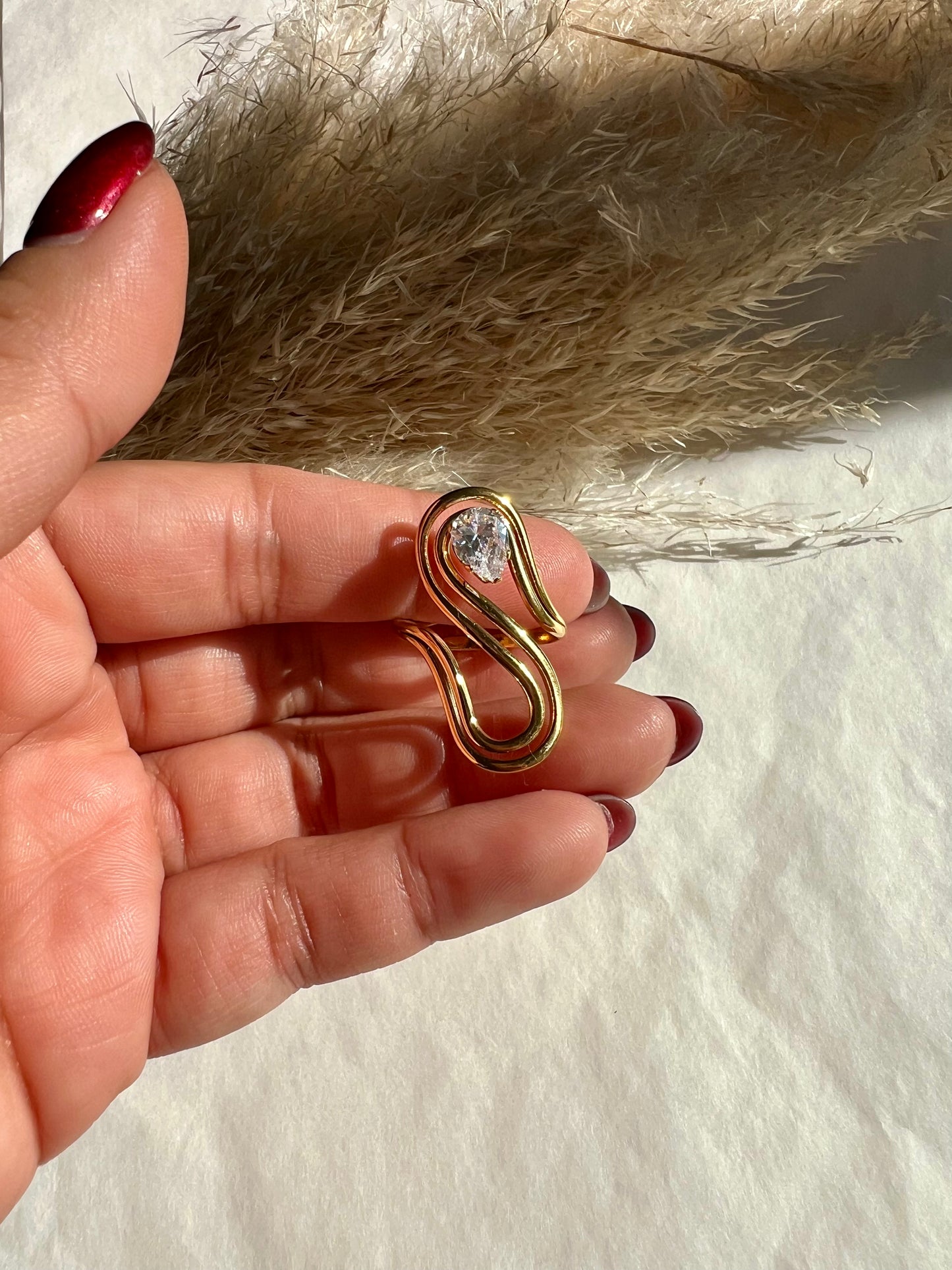 Anillo Maximalista