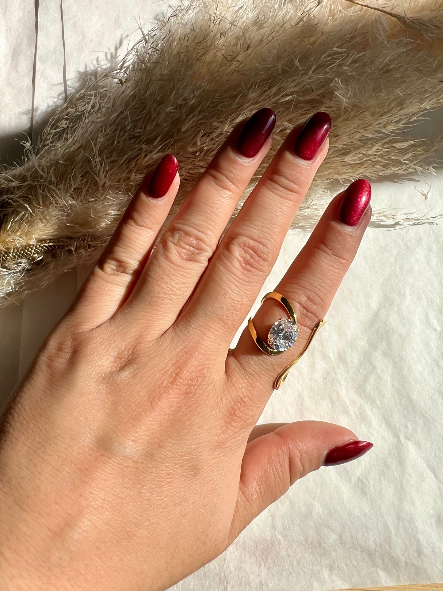 Anillo Maximalista