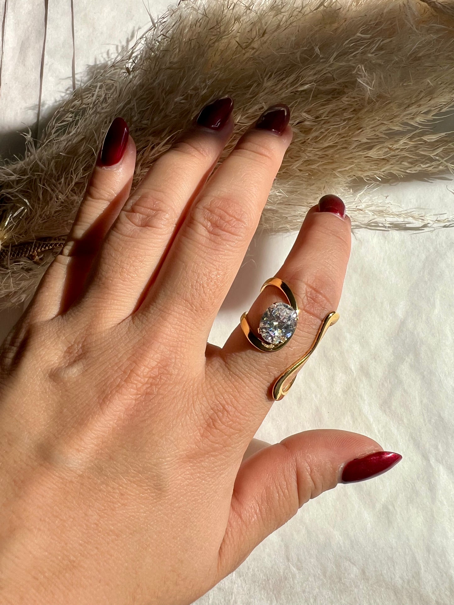Anillo Maximalista