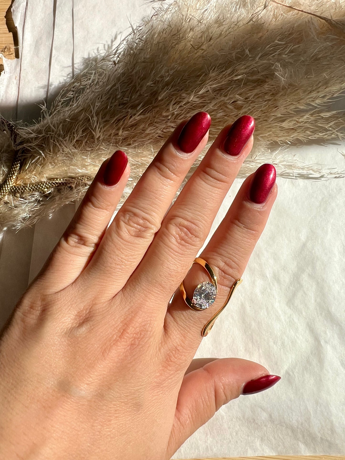 Anillo Maximalista