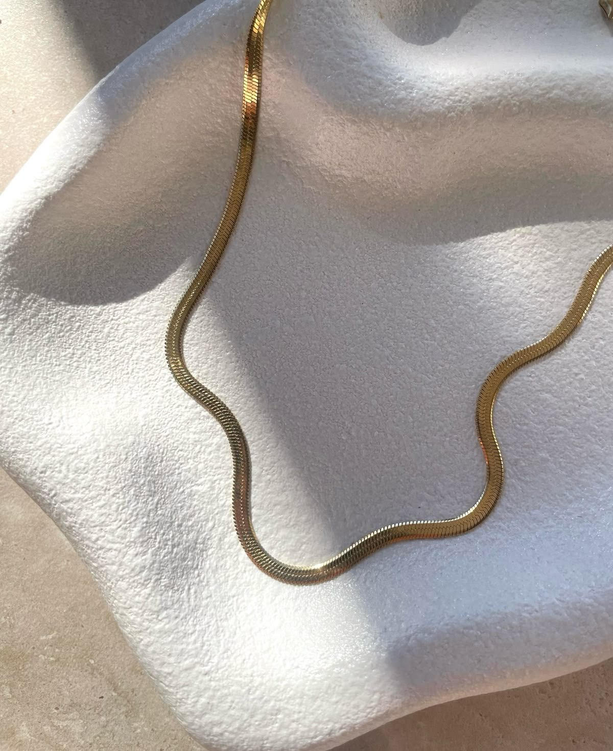Collar Snake